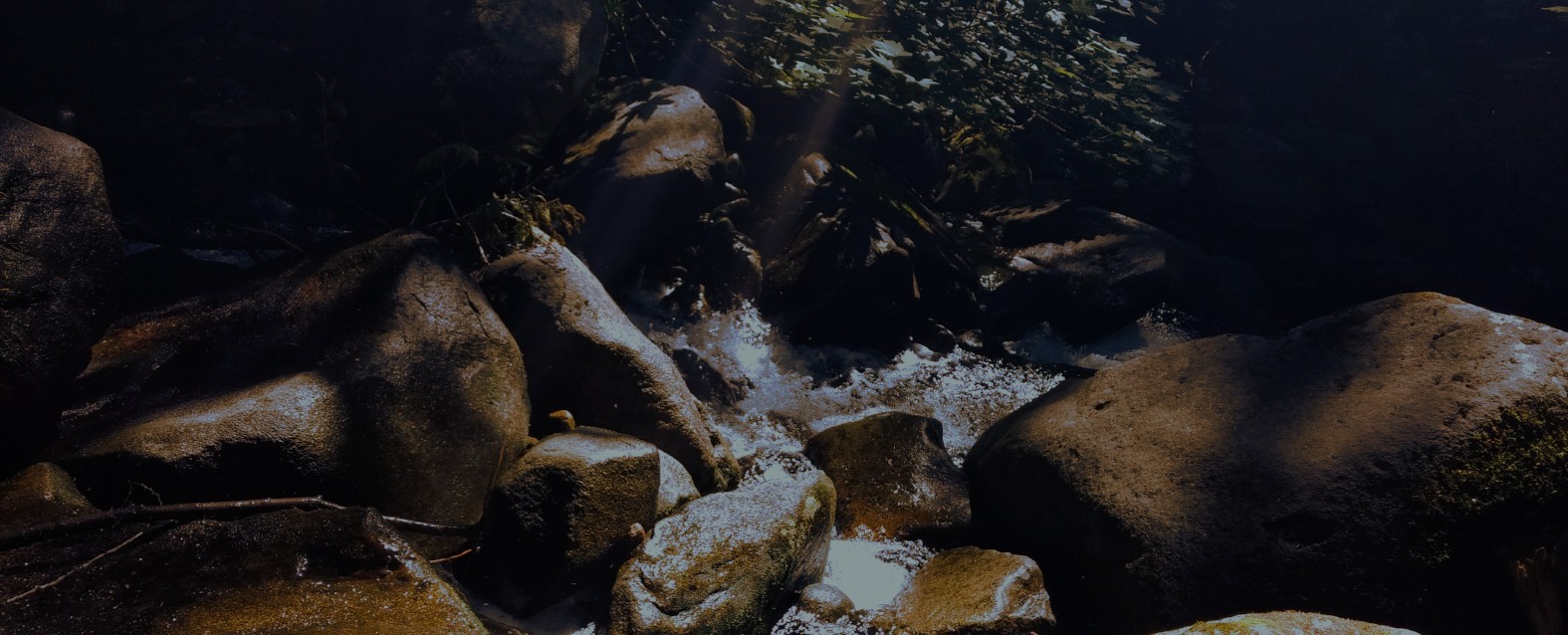 A river with rocks in the foreground and trees in the background